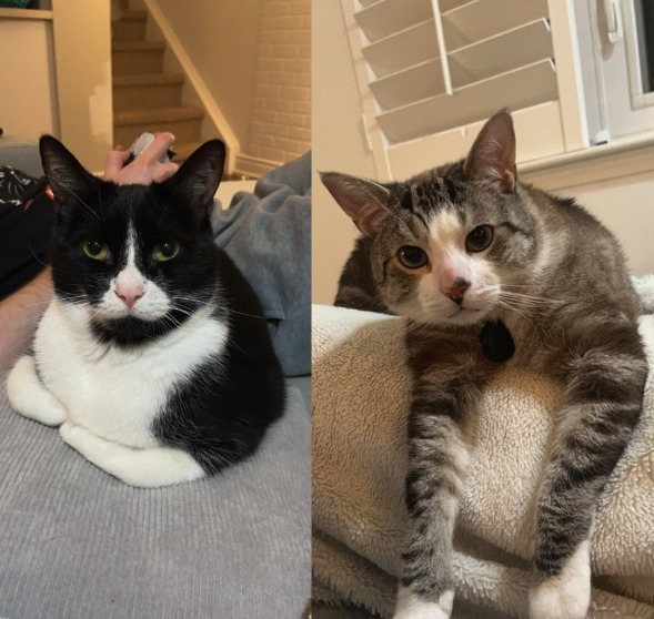 Oliver & Phineas